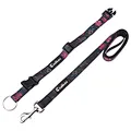 chewy dog leashes